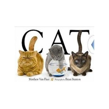 猫的英文怎么读-cat(猫)怎么读?(英语)谁知道?.