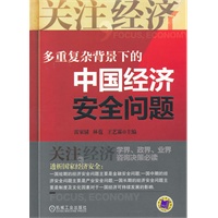 多重复杂背景下的中国经济安全问题