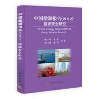 中国能源报告（2012）：能源安全研究