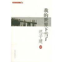 我的世界下雪了——简朴生活丛书