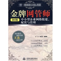 金牌网管师(初级)中小型企业网络组建、配置与管理(全国网管技能水平考试唯一指定教材 全国网管师职业评定指