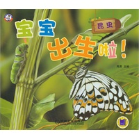 宝宝出生啦！昆虫