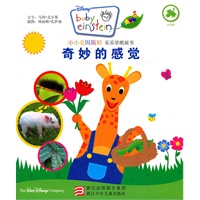 小小爱因斯坦.乐乐学纸板书 奇妙的感觉