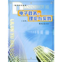 电子政务的理论与实践——电子时代丛书