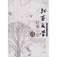 20062007年好看小说选