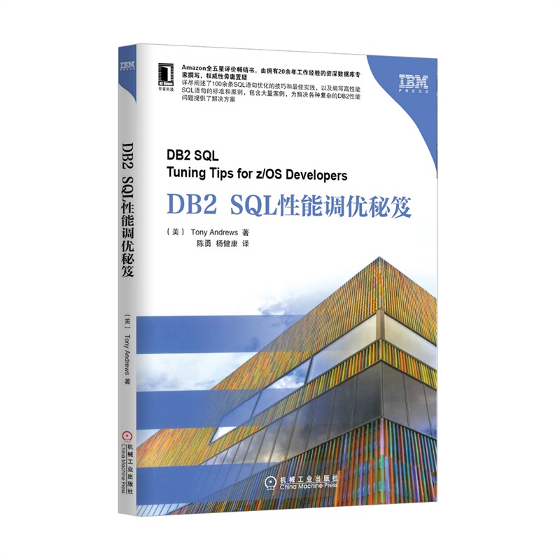 【DB2 SQL性能调优秘笈(Amazon全五星畅销