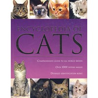 动物百科：猫Eneycopedia