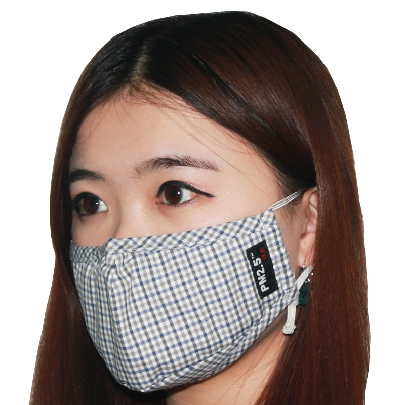 【绿盾 PM2.5防雾霾抗菌防尘口罩蓝灰格(轻薄