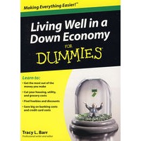 Living Well In A Down Economy For Dummies如何在经济衰退中生活的更好