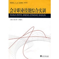 会计职业技能综合实训