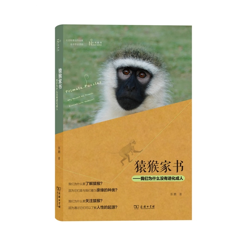 成语什么沙猿鹤_猿手是什么神经损伤图(3)