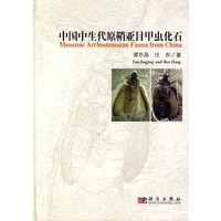 中国中生代原鞘亚目甲虫化石