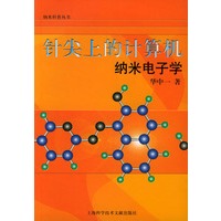 针尖上的计算机：纳米电子学
