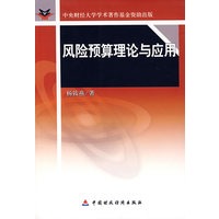 风险预算理论与应用