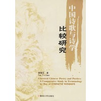 中国诗歌与诗学比较研究