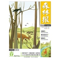 《森林报·春》美绘全译本（国内首个《森林报》全译本，小小自然科学家的启蒙书，著名翻译家沈念驹翻译，全彩印刷，100余幅精美插图）