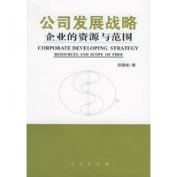 公司发展战略