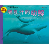 喝乳汁的幼鲸