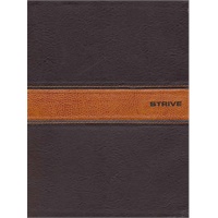 Strive: The Bible for Men (TNIV) 圣经