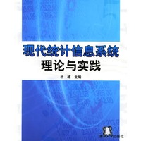 现代统计信息系统理论与实践