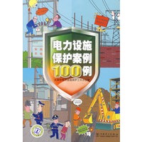 电力设施保护案例100例