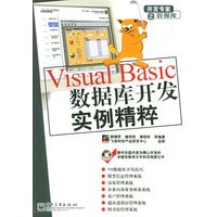 Visual Basic数据库开发实例精粹(附光盘一张)——开发专家之数据库