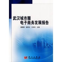 武汉城市圈电子商务发展报告
