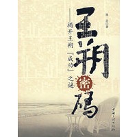王朔密码:揭开王朔(成功)之谜