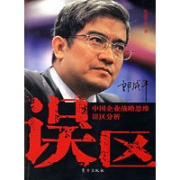 误区：中国企业战略思维误区分析