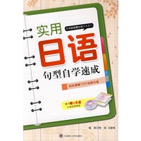 实用日语句型自学速成(含光盘)RY