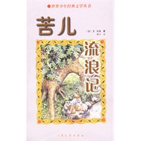 苦儿流浪记（世界少年经典文学丛书）