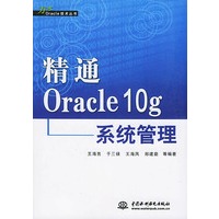 精通Oracle 10g系统管理——万水Oracle技术丛书