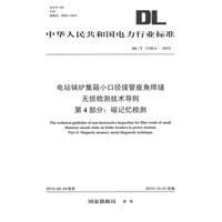 DL/T 1105.4-2010 电站锅炉集箱小口径接管座角焊缝无损检测技术导则 第4部分：磁记忆检测