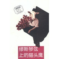 缪斯琴弦上的猫头鹰