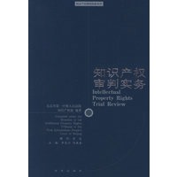 知识产权审判实务——知识产权审判实务丛刊