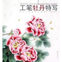 工笔牡丹特写