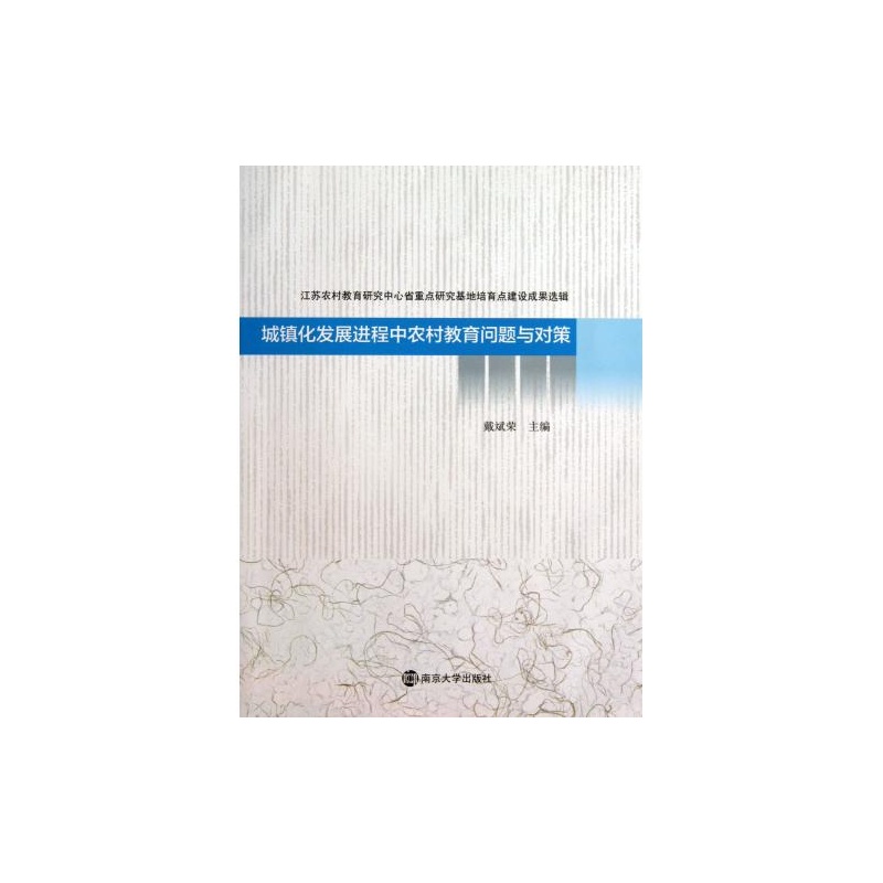 【城镇化发展进程中农村教育问题与对策 正版