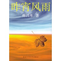昨宵风雨