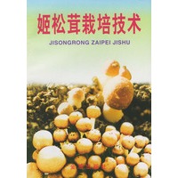 姬松茸栽培技术