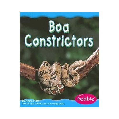 【预订】boa constrictors y9780736896078