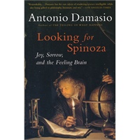 Looking for Spinoza（ISBN=9780156028714）