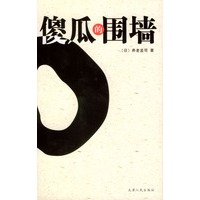 傻瓜的围墙