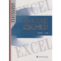 EXCEL电子表格财税应用实训教程