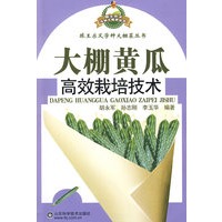 大棚黄瓜高效栽培技术—跟王乐义学种大棚菜丛 书