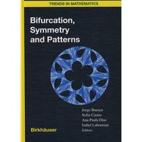 Bifurcation, symmetry and patterns.分歧、对称与模式