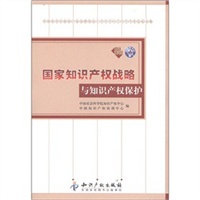 国家知识产权战略与知识产权保护