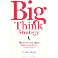 更长远的战略BIG THINK STRATEGY