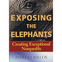 全貌：创建额外的非营利 EXPOSING THE ELEPHANTS