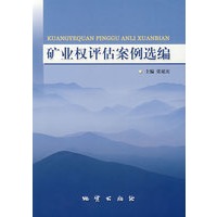 矿业权评估案例选编