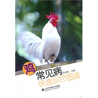 鸡常见病快速诊疗图谱